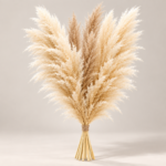 Διακοσμητικό Pampas Grass – Σετ 5 Τεμαχίων Φυσικό Αποξηραμένο Πάμπας για Βάζα & Boho Διακόσμηση